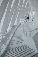 Стълбата; comments:20