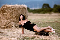 no name ( ID=2567952 ); No comments