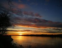 без име ( ID=2567969 ); Коментари:3