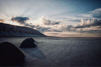 без име ( ID=2567991 ); Коментари:17