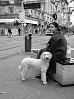 Миг; Коментари:5