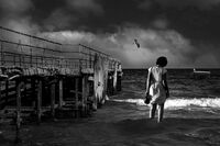 без име ( ID=2568029 ); Коментари:31