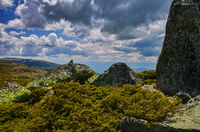 без име ( ID=2568051 ); Коментари:1