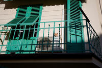 Lazy day; comments:3