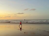 Залез; Коментари:1