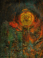 Слънчоглед; Коментари:38