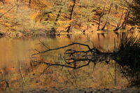 без име ( ID=2568074 ); Коментари:2