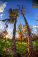 no name ( ID=2568082 ); comments:1