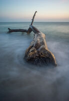 Велека; Коментари:1