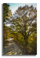 без име ( ID=2568131 ); Коментари:2