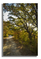 без име ( ID=2568132 ); Коментари:1