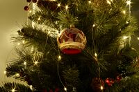 Carl Zeiss Jena 135 3.5 Zebra; Коментари:5