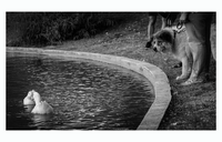 без име ( ID=2568144 ); Коментари:11