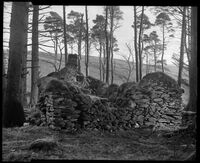 Craig Mooar; No comments