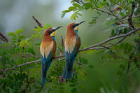 Прислушиваясь к тишине.; Коментари:19