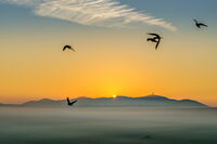 no name ( ID=2568156 ); comments:6