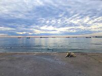 Autumn mood; Коментари:3