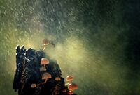 без име ( ID=2568200 ); Коментари:12