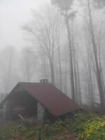 no name ( ID=2568223 ); comments:3