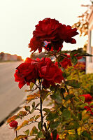 Залез....различен !; comments:1