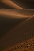 Desert Waves; comments:2