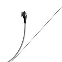 градско светило; Коментари:2