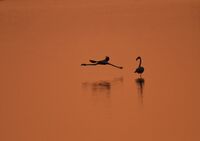 no name ( ID=2568276 ); comments:24