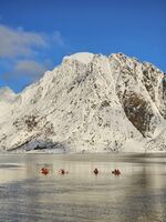 Norway; Коментари:8