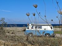 Оставамееее  оставамеее.....; Коментари:6