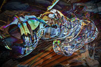 Slow Dancing; Коментари:3