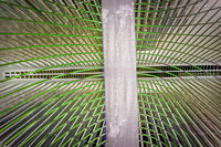 Oculus; Коментари:2