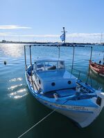 no name ( ID=2568317 ); comments:2