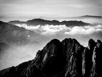 без име ( ID=2568338 ); Коментари:10