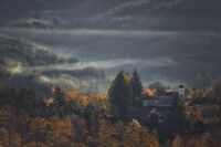 без име ( ID=2568342 ); Коментари:8