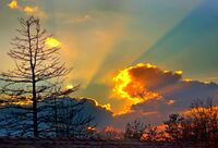 без име ( ID=2568343 ); Коментари:1