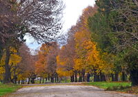 без име ( ID=2568344 ); Коментари:1