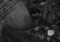 Abney Park Cemetery II; comments:3