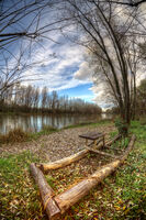 Хризантеми; Коментари:2