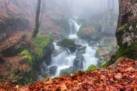 без име ( ID=2568379 ); Коментари:5