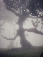 no name ( ID=2568396 ); comments:6