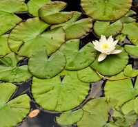 no name ( ID=2568401 ); comments:3