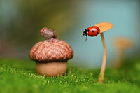 no name ( ID=2568404 ); comments:14