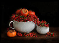 без име ( ID=2568429 ); Коментари:5