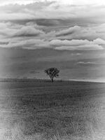 Самотникът; Коментари:2