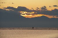 В края на ноември; Коментари:6