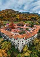 без име ( ID=2568460 ); Няма коментари