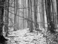 Някъде там...; comments:5