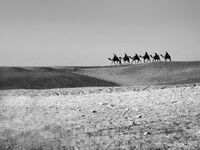 Хоризонт и още нещо...; Коментари:12