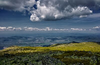 без име ( ID=2568489 ); Коментари:5