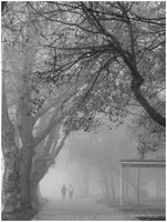 без име ( ID=2568509 ); Коментари:16